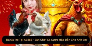 Đá Gà Tre Tại AE888 - Sân Chơi Cá Cược Hấp Dẫn Cho Anh Em